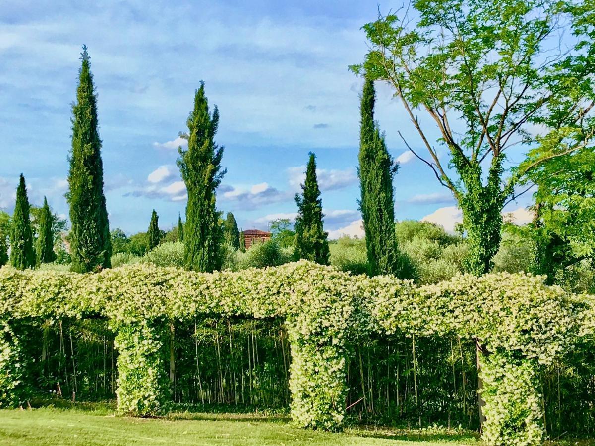 Agriturismo Antica Dimora Del Turco Sona Exteriör bild