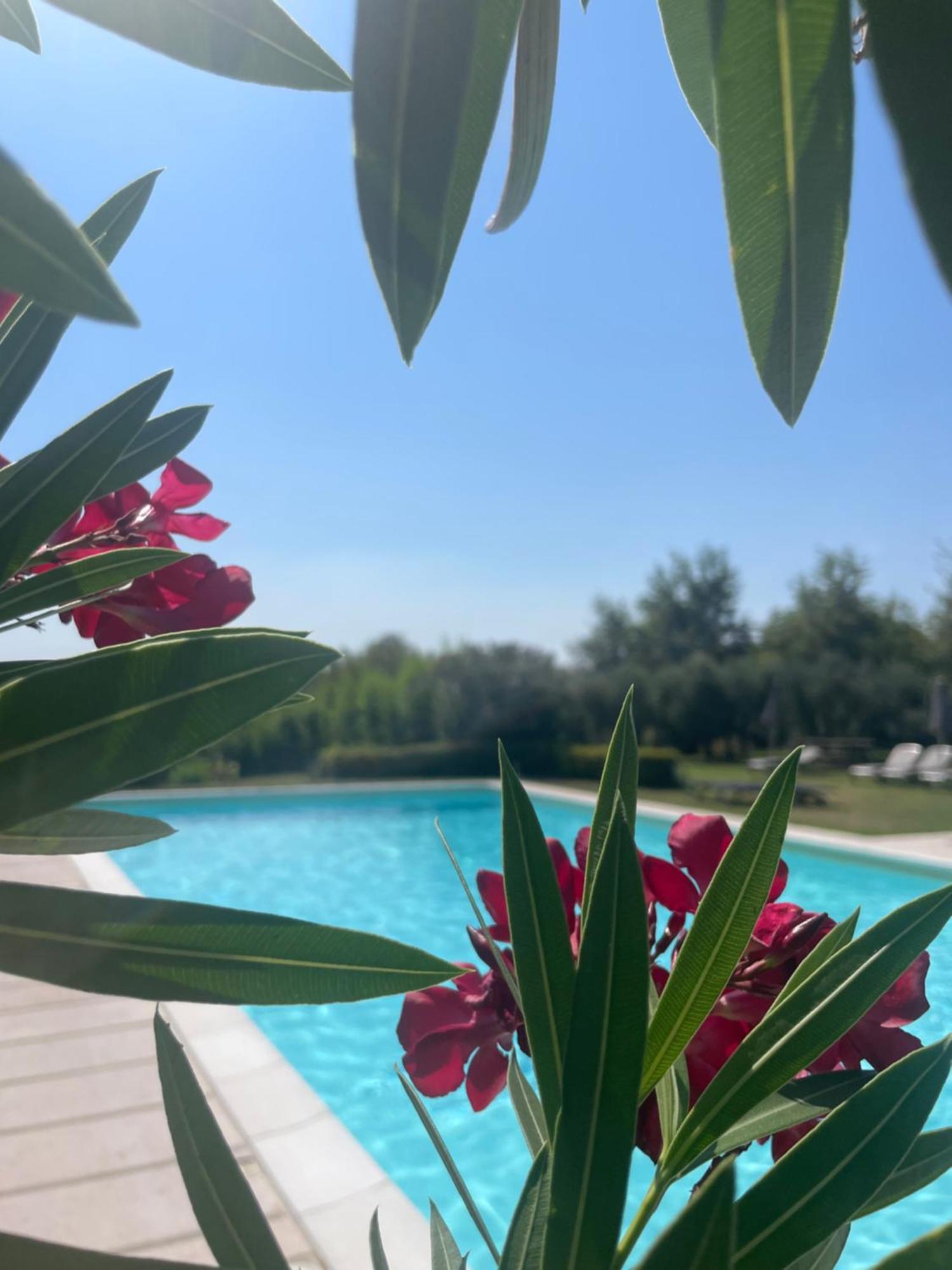 Agriturismo Antica Dimora Del Turco Sona Exteriör bild