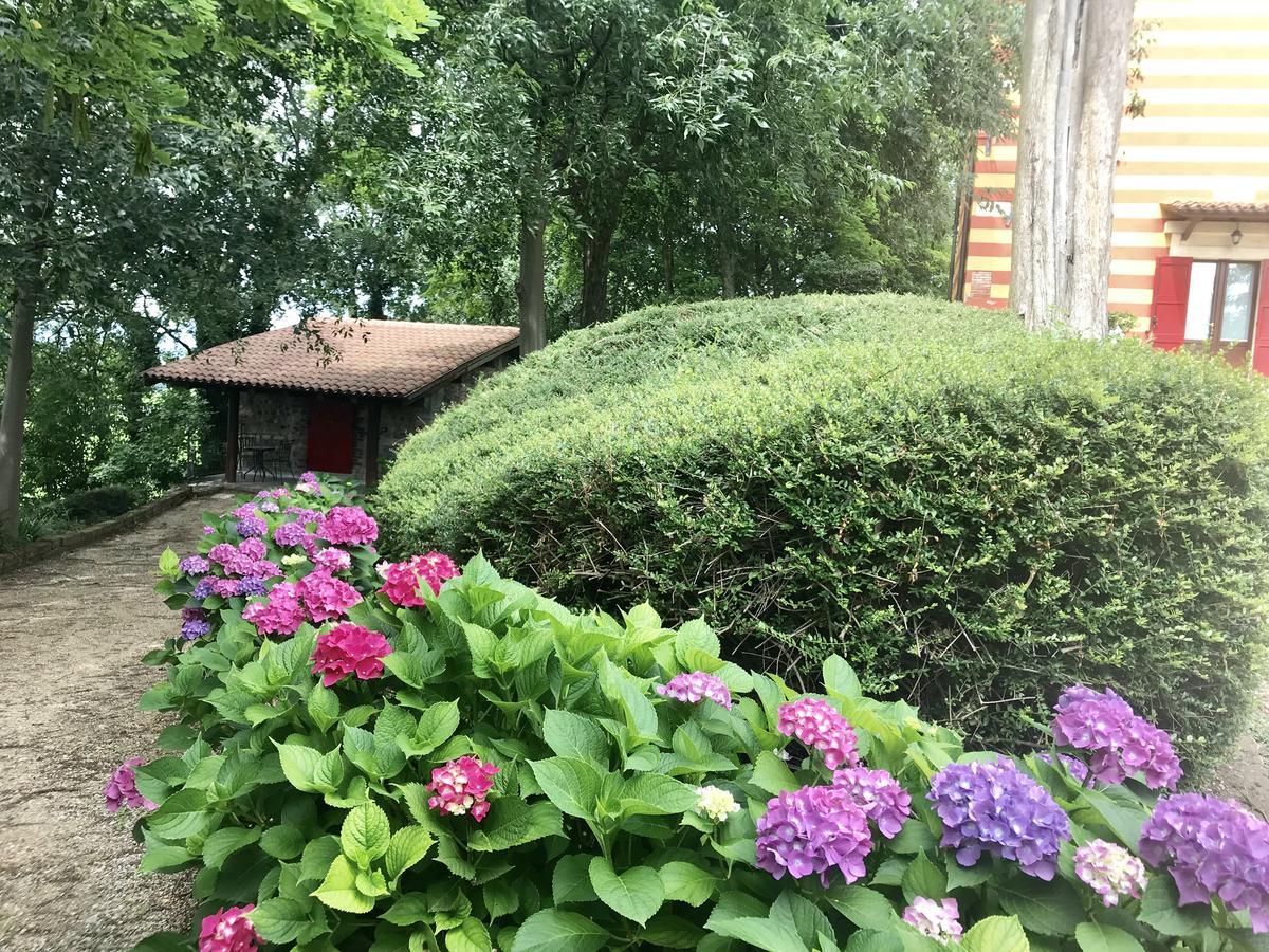 Agriturismo Antica Dimora Del Turco Sona Exteriör bild